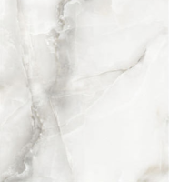 Керамогранит Silver Onyx Satin 600x600