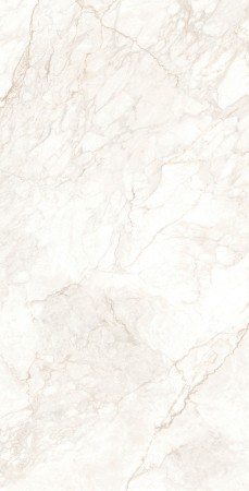 Керамогранит арт. DX126009 60х120 матовый 