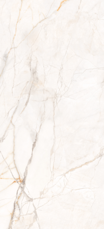 Керамогранит арт. RJ612051S 60х120 лапатто 