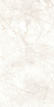 Керамогранит арт. DX126009 60х120 матовый 