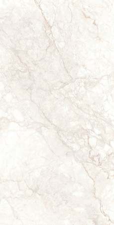 Керамогранит арт. DX126009 60х120 матовый 