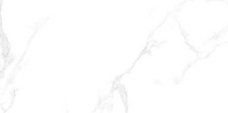 Керамогранит арт. YM12031 (031) 60х120 сатинированный 