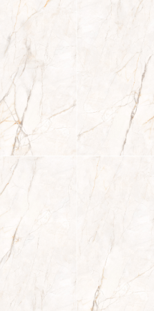 Керамогранит арт. RJ612051S 60х120 лапатто 