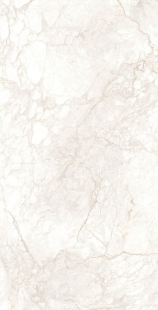 Керамогранит арт. DX126009 60х120 матовый 